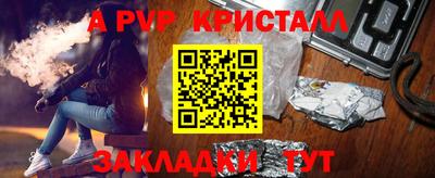 гидра Ростов-на-Дону