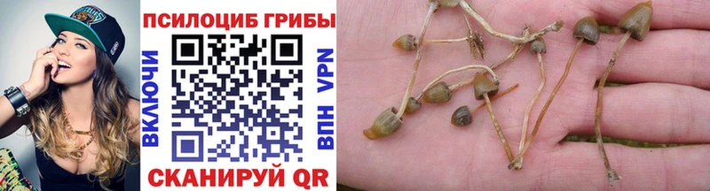 Псилоцибиновые грибы Magic Shrooms  наркошоп  Абинск 