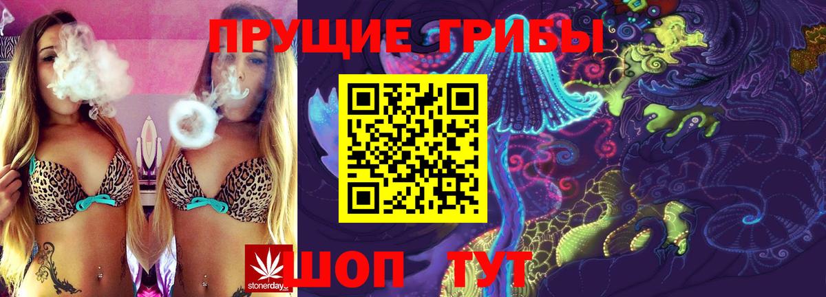Псилоцибиновые грибы Cubensis  Галлюциногенные грибы прущие грибы  Абинск  Вход с VPN 